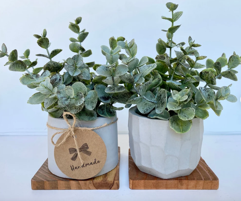 eucalyptus – Ursina's Deco Shop