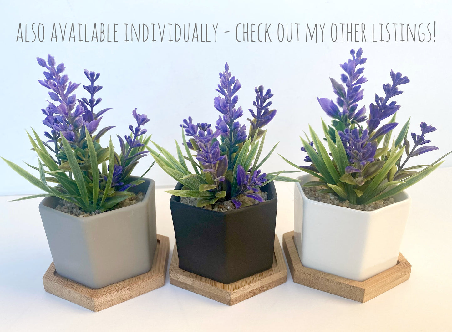 Set of 6 Faux Plants in White, Black or Gray Hexagon Pots - Artificial Mini Plants for Floating Shelf Decor