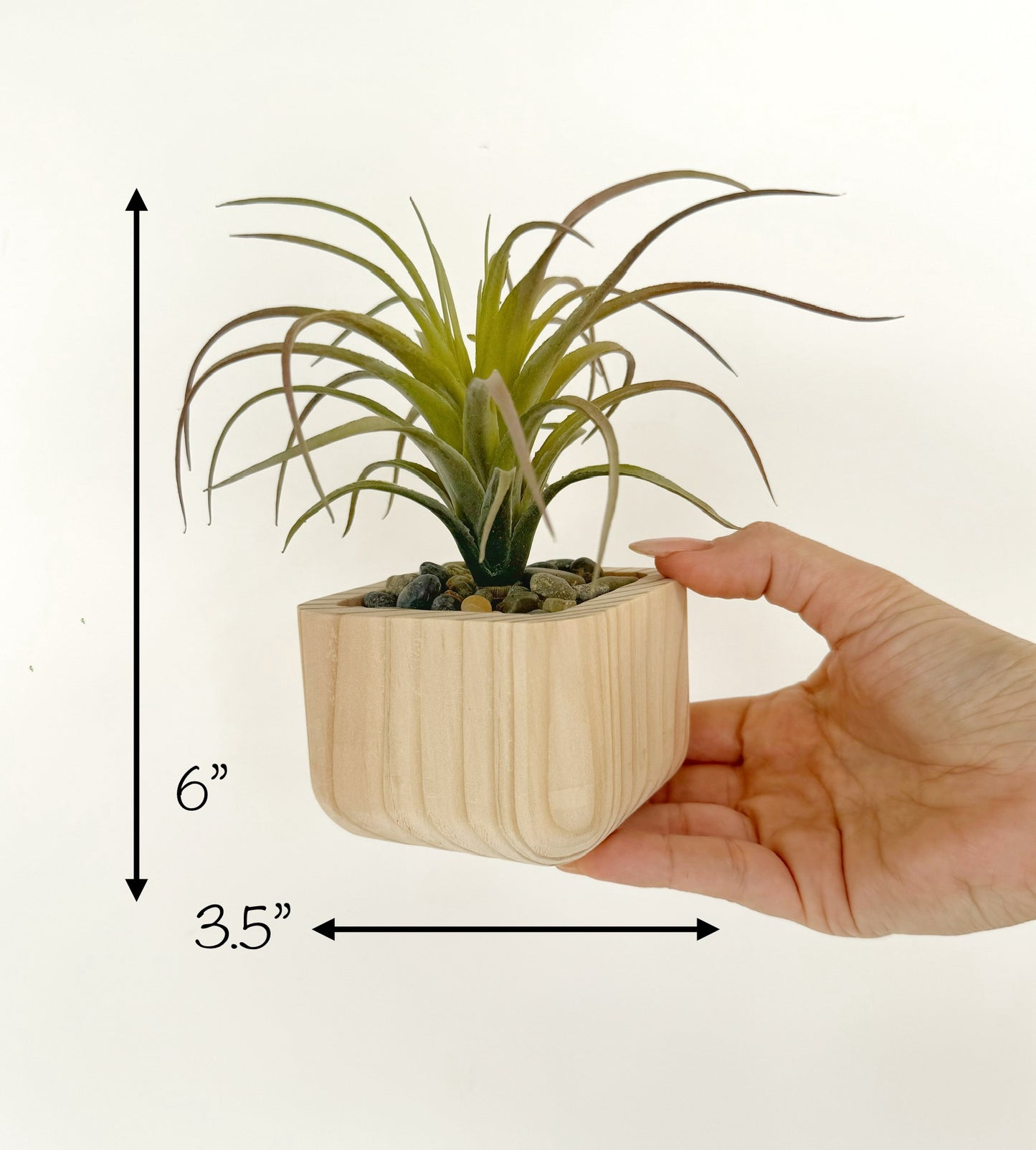 Artificial Succulent Plant in handmade Wood Pot - Air Plant or Aloe Vera Pick
