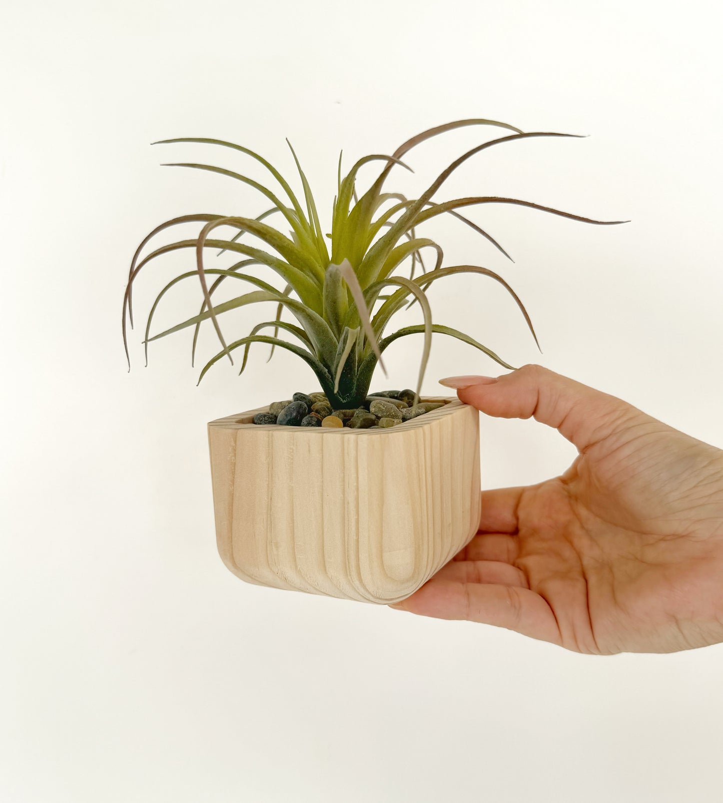 Artificial Succulent Plant in handmade Wood Pot - Air Plant or Aloe Vera Pick