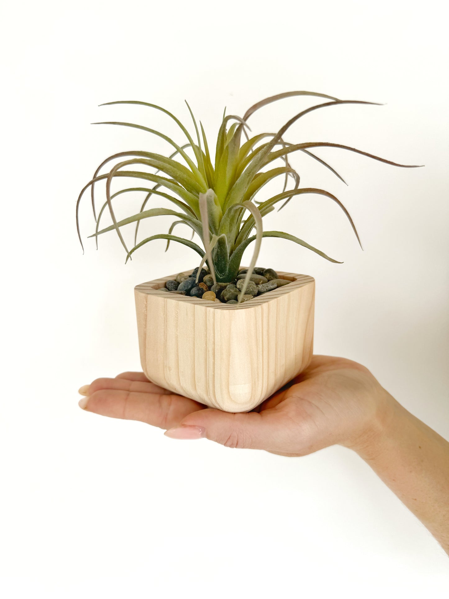 Artificial Succulent Plant in handmade Wood Pot - Air Plant or Aloe Vera Pick