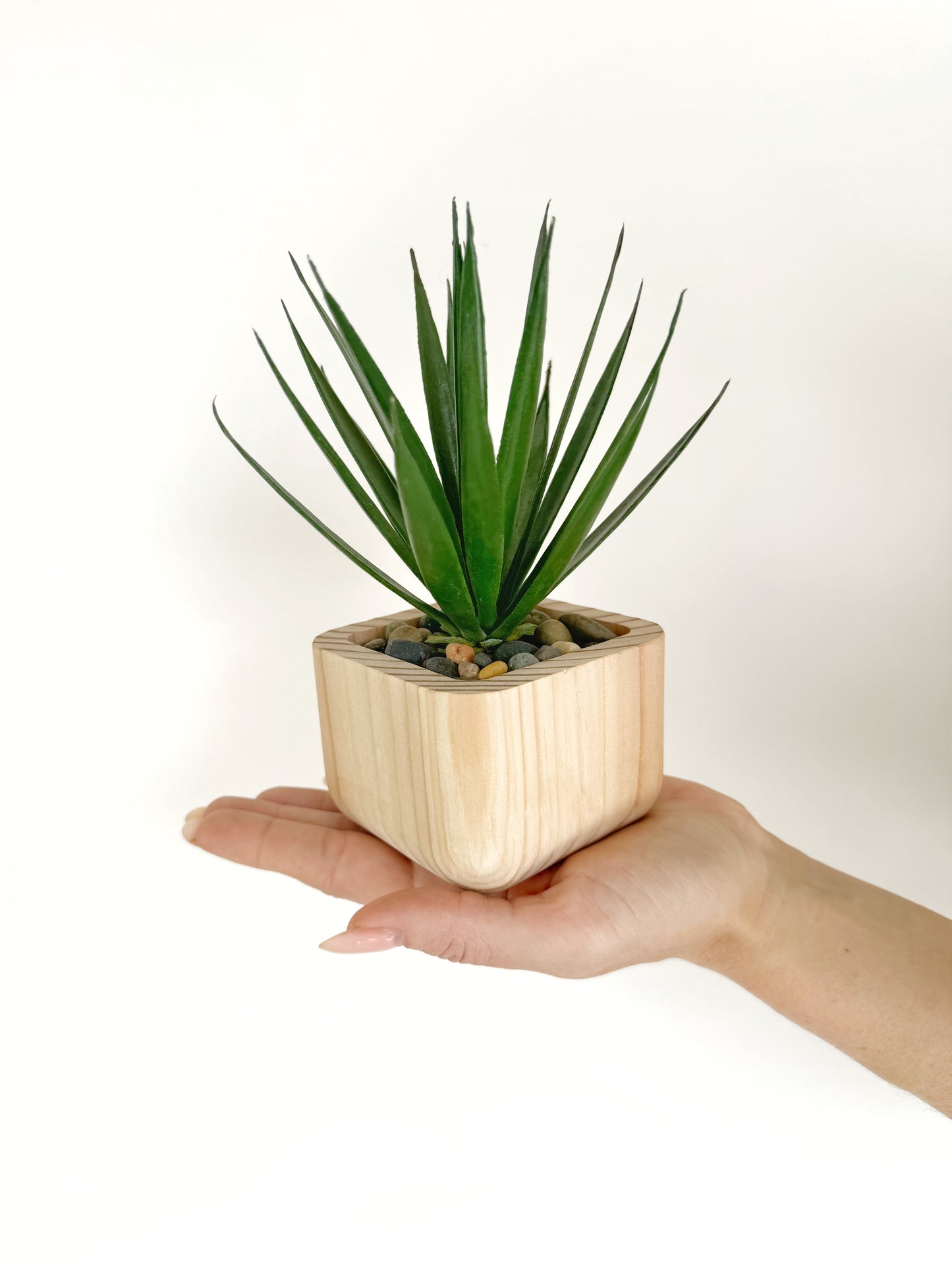 Artificial Succulent Plant in handmade Wood Pot - Air Plant or Aloe Vera Pick