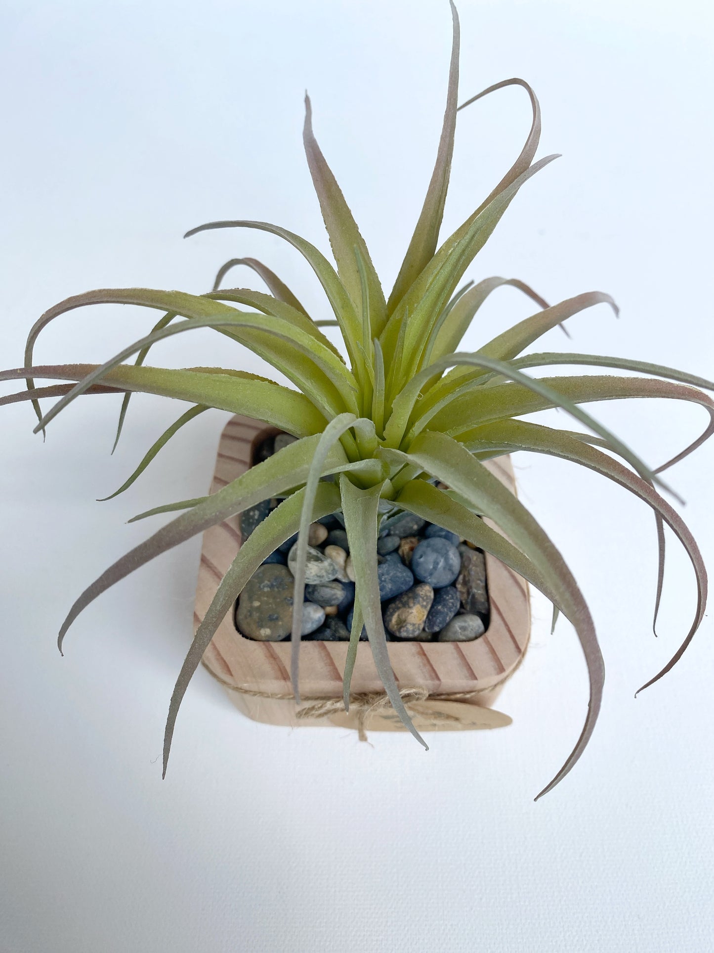 Artificial Succulent Plant in handmade Wood Pot - Air Plant or Aloe Vera Pick