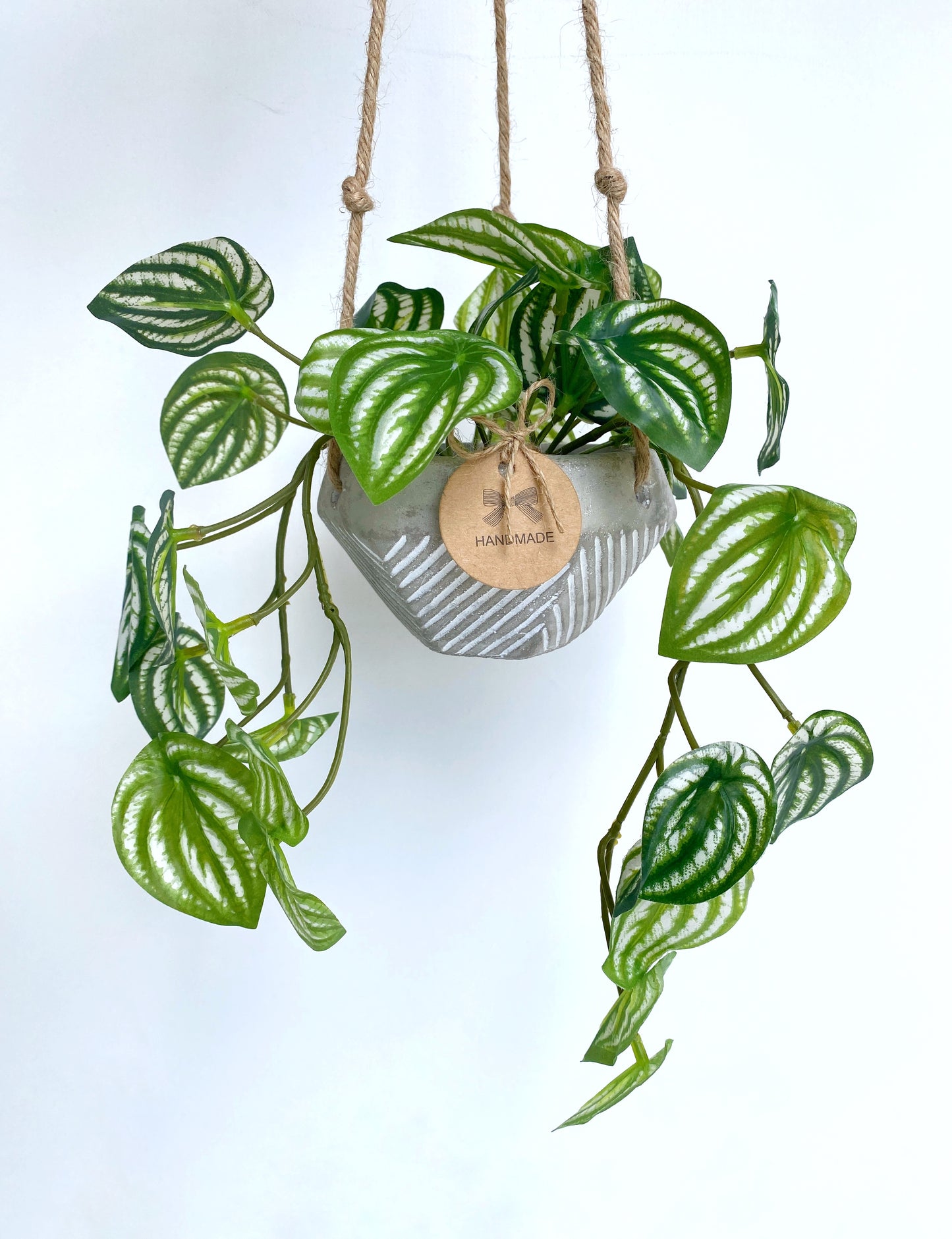Faux Watermelon Peperomia Hanging Plant in Handmade Concrete Pot with Jute Twine