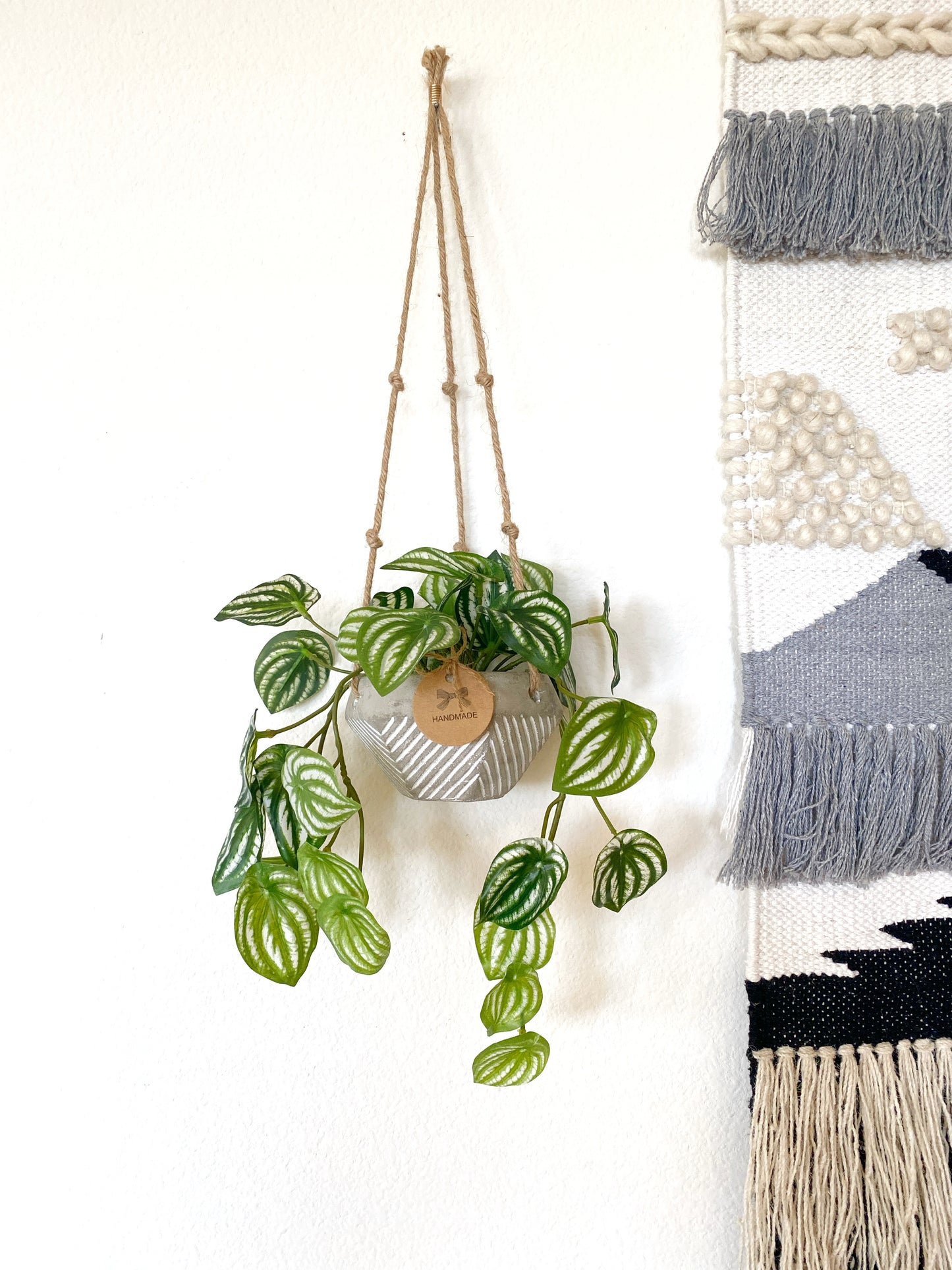 Faux Watermelon Peperomia Hanging Plant in Handmade Concrete Pot with Jute Twine