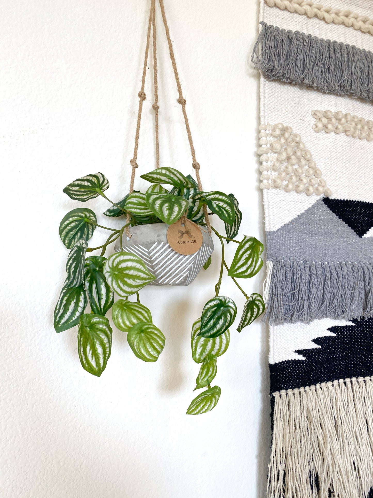 Faux Watermelon Peperomia Hanging Plant in Handmade Concrete Pot with Jute Twine