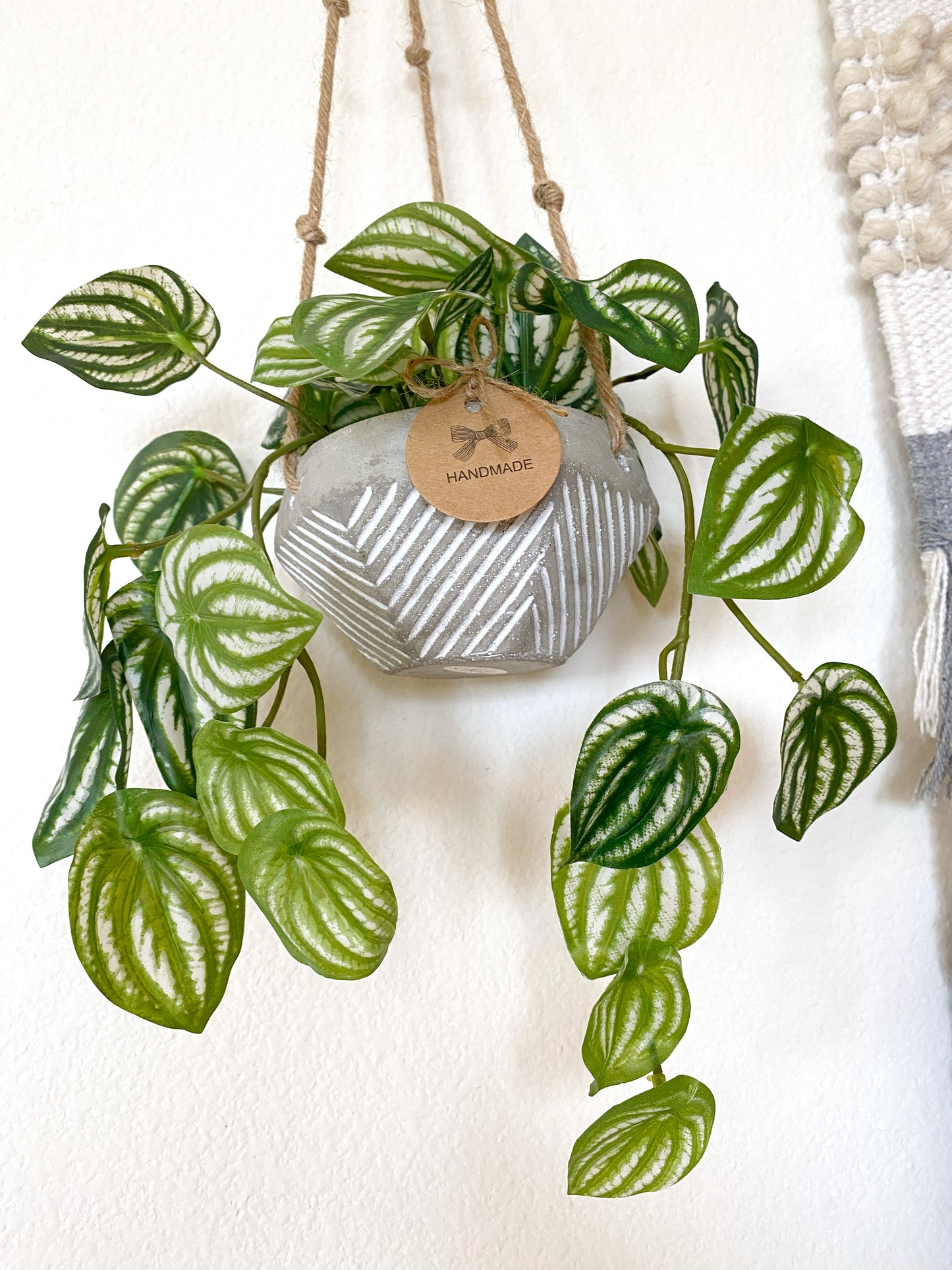 Faux Watermelon Peperomia Hanging Plant in Handmade Concrete Pot with Jute Twine