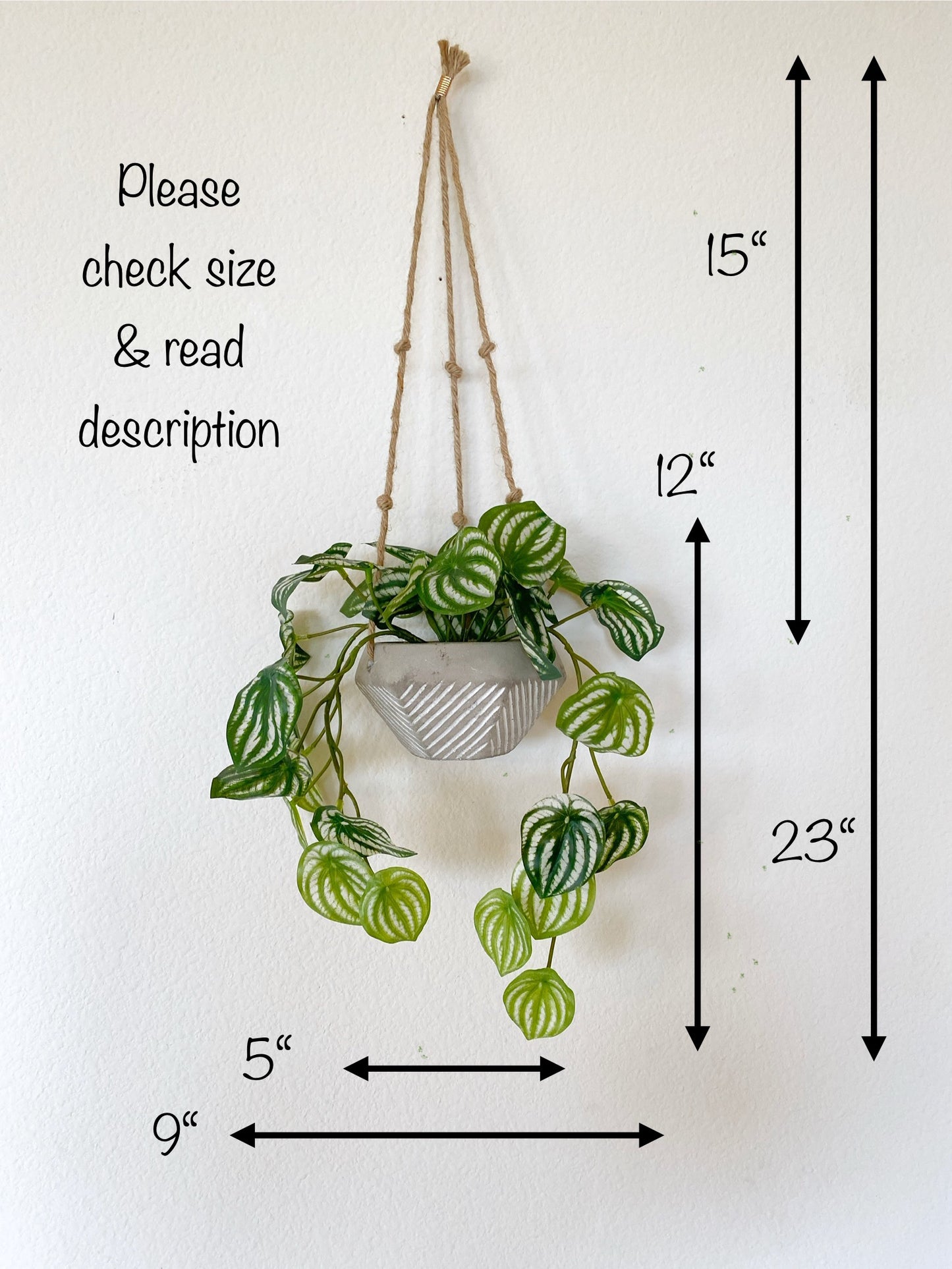 Faux Watermelon Peperomia Hanging Plant in Handmade Concrete Pot with Jute Twine