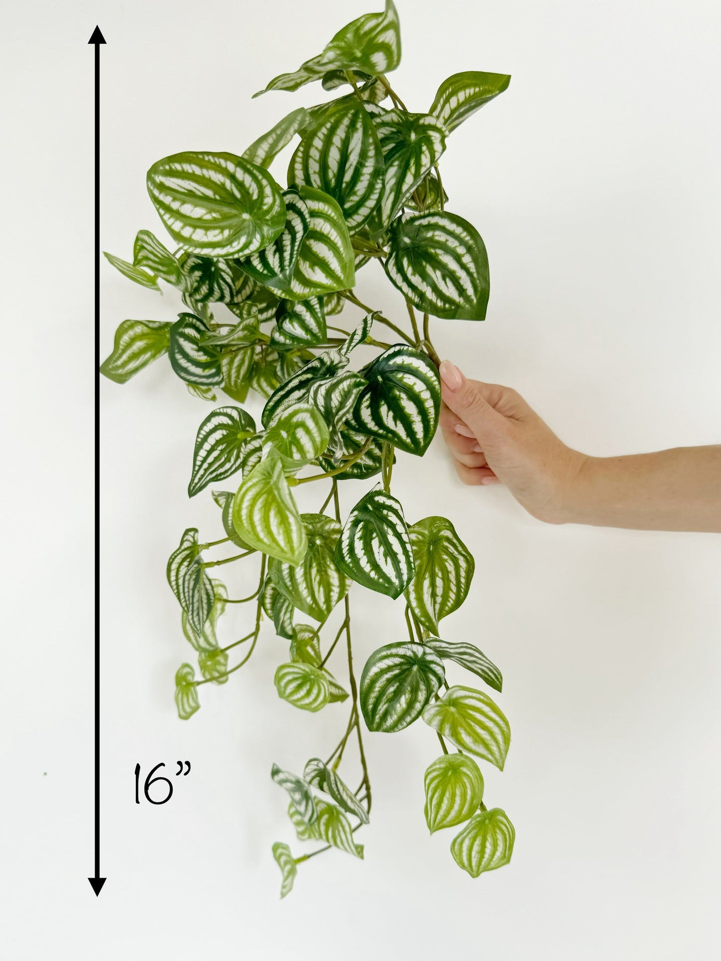 Watermelon Hanging Bush 16" - High Quality Artificial Hanging Plant - Faux Watermelon, Peperomia Plant