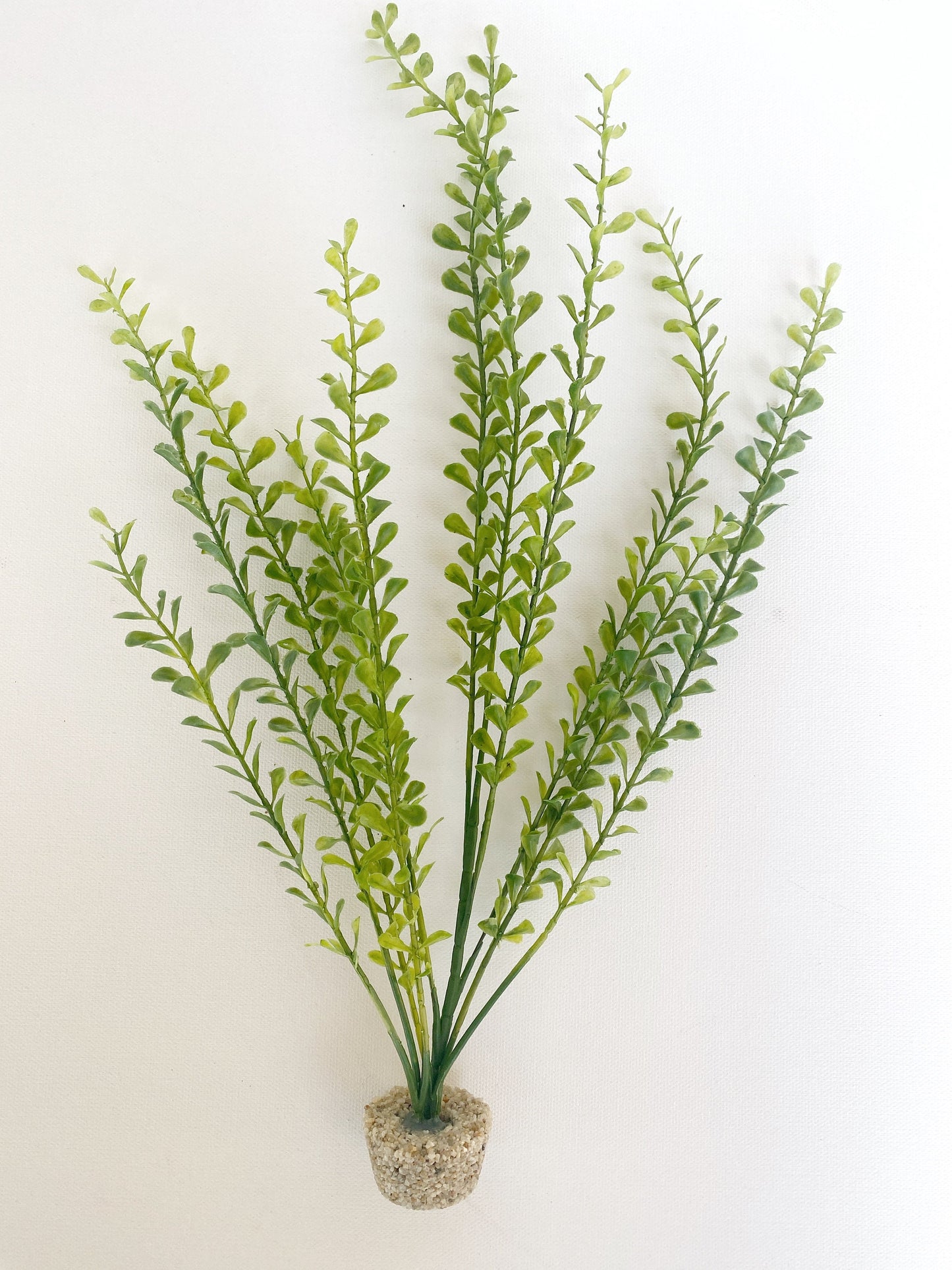 16" Boxwood Leaf Bush Freshwater Aquarium Plant with Stone Base, Fish Tank Lifelike Aquascape Décor, Artificial Aquarium Plastic Plant