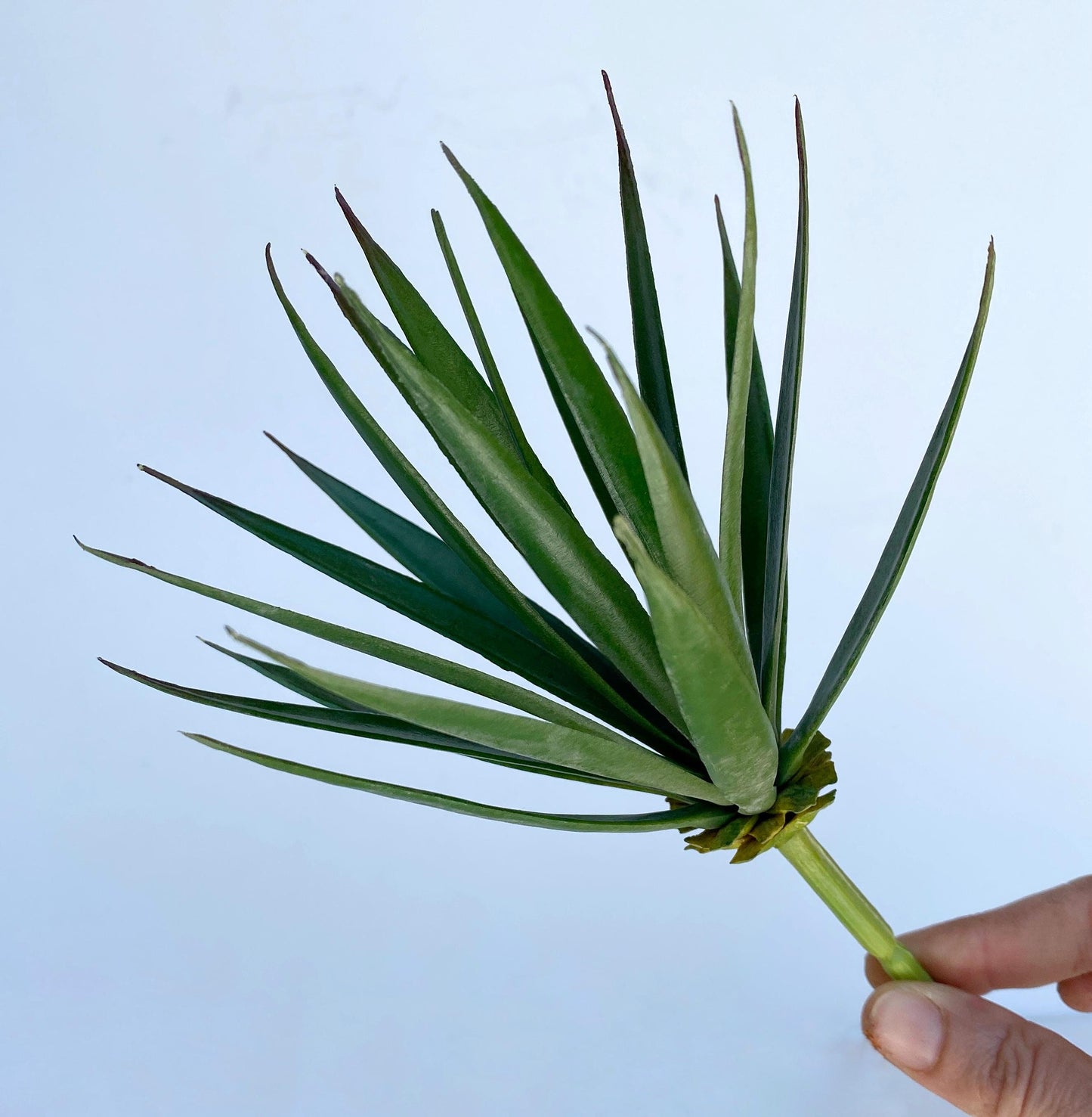 Artificial Aloe Pick Succulent -  High Quality Succulents - Faux Plant