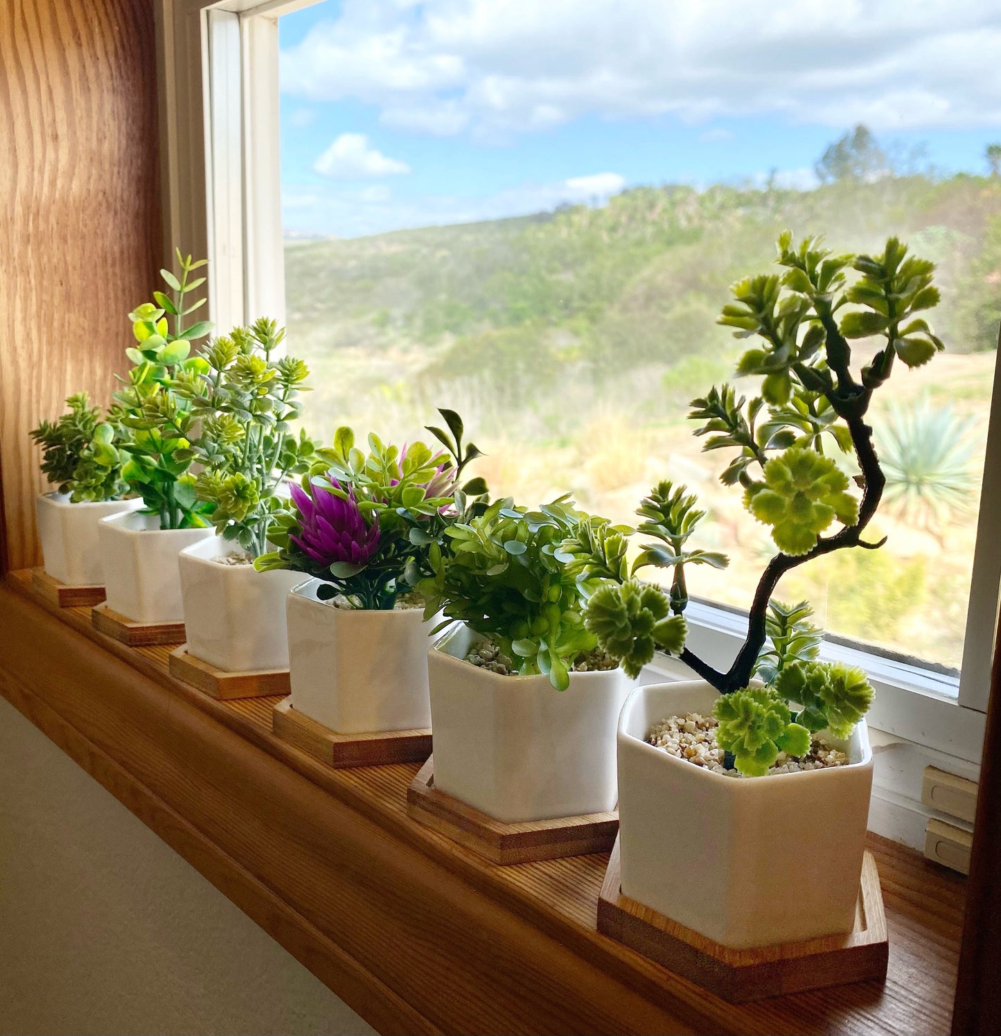 Small Artificial Plant in white, black or grey Hexagon Pot with Bamboo Tray