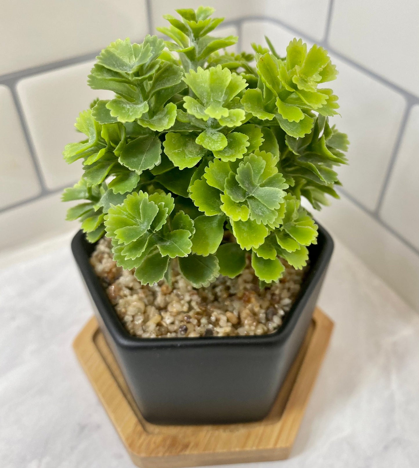 3 x Small Artificial Plant in matt black Hexagon Pot with Bamboo Tray