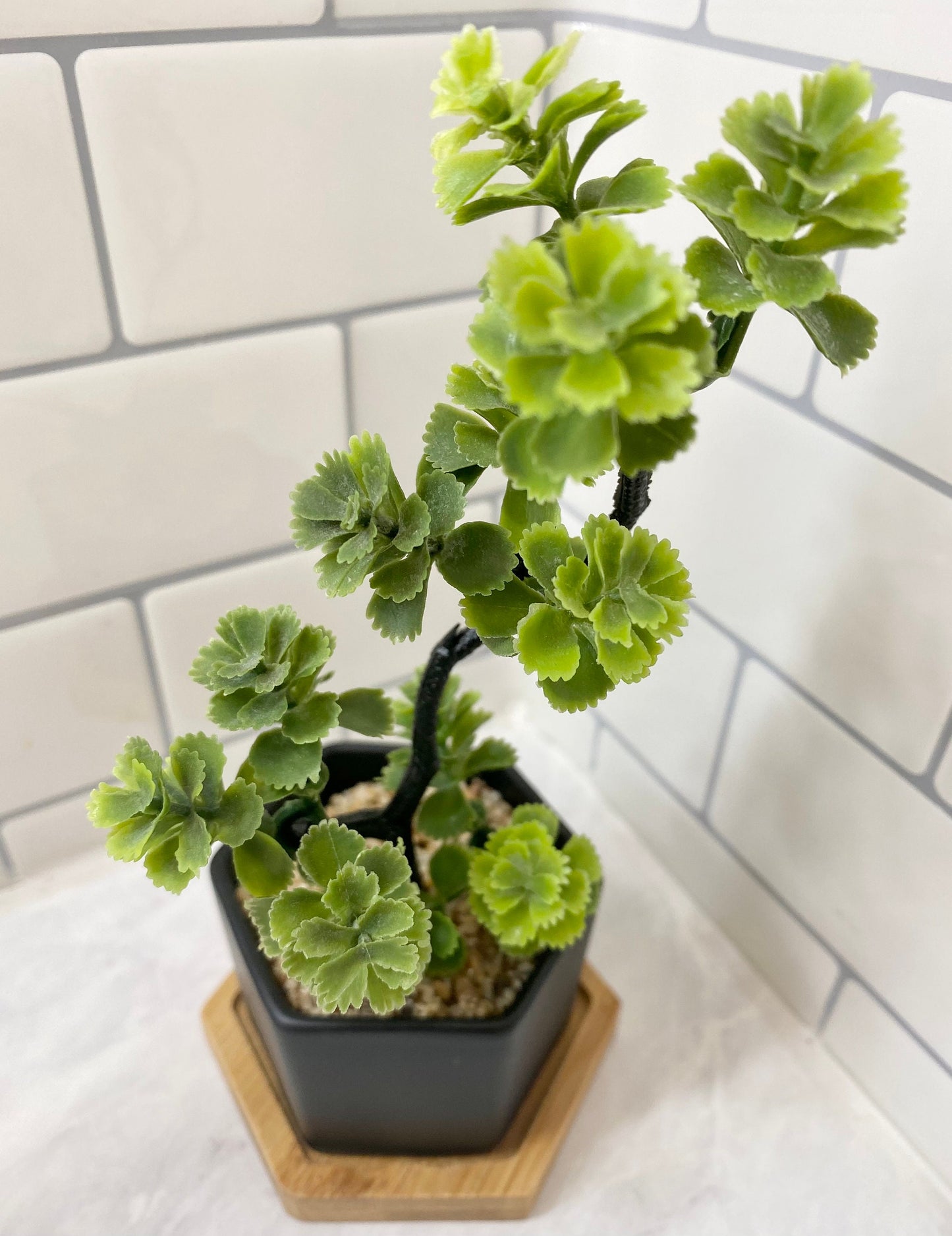 3 x Small Artificial Plant in matt black Hexagon Pot with Bamboo Tray