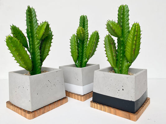 Artificial Cactus Plant in handmade Concrete Pot with Wood Tray