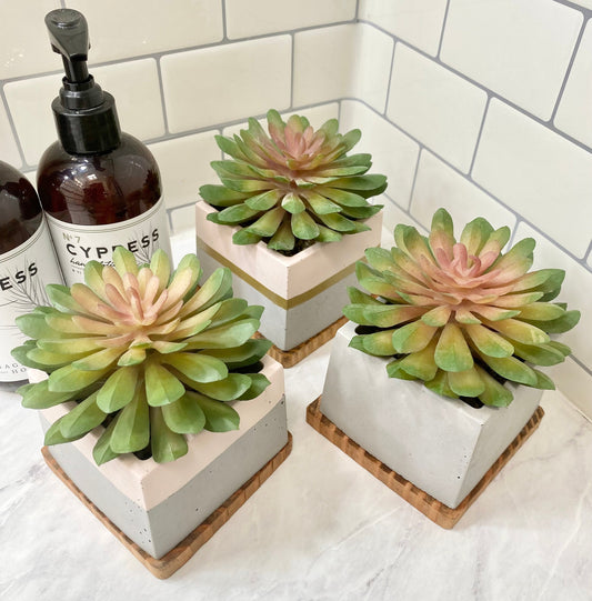 Artificial Pink Succulent Plant in handmade Concrete Pot with Wood Tray
