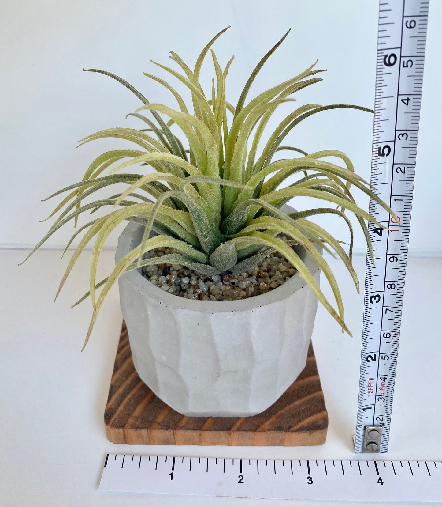 Artificial Succulent Plant in handmade Concrete Pot with Wood Tray - Aloe Vera, Ice or Air Plant