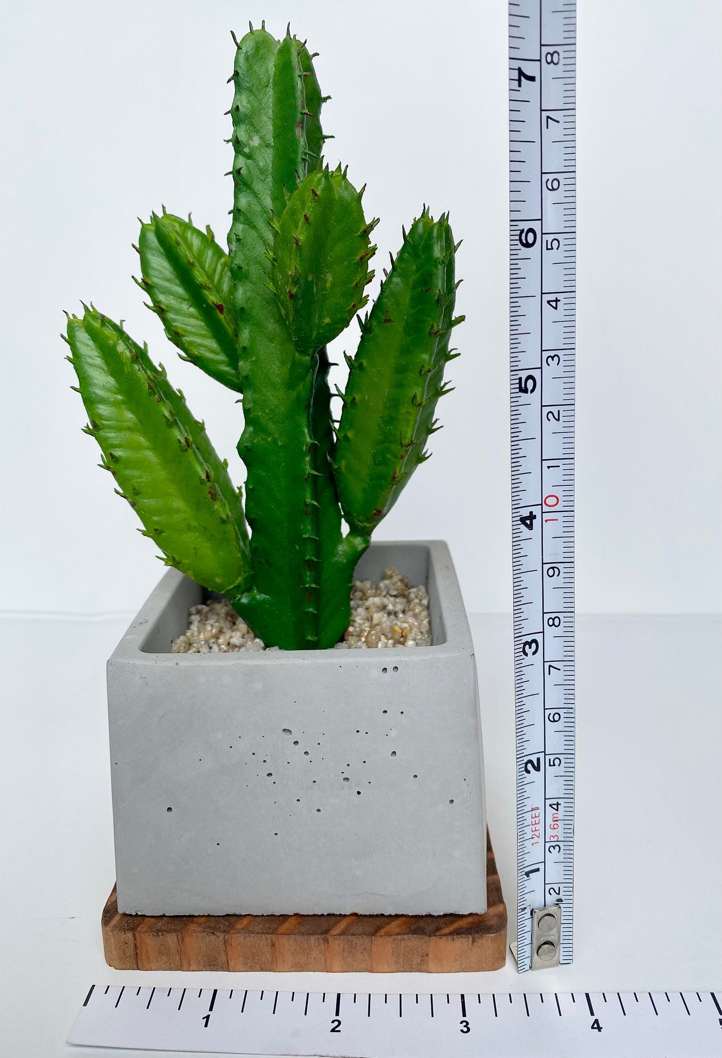 Artificial Cactus Plant in handmade Concrete Pot with Wood Tray