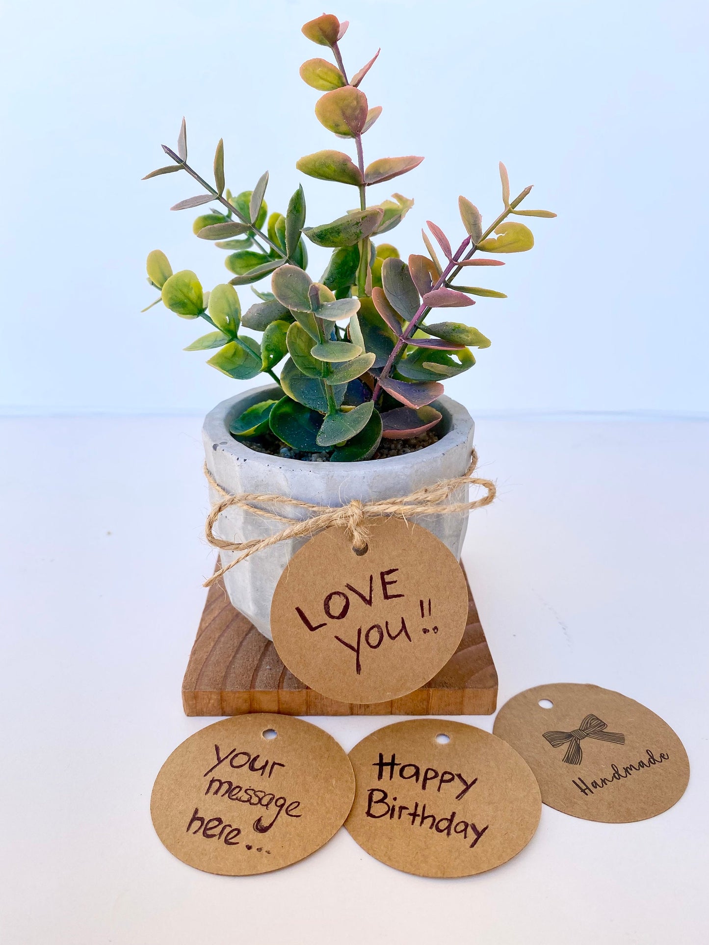 Artificial Eucalyptus Plant in handmade textured Concrete Pot with Wood Tray