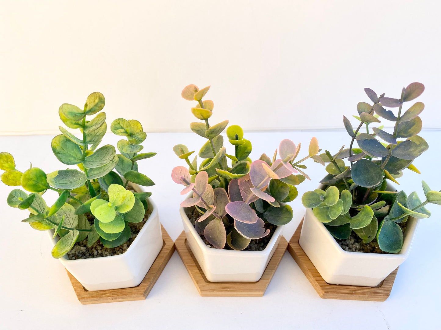 Small Artificial Eucalyptus plant in white Hexagon Pot with Bamboo Tray