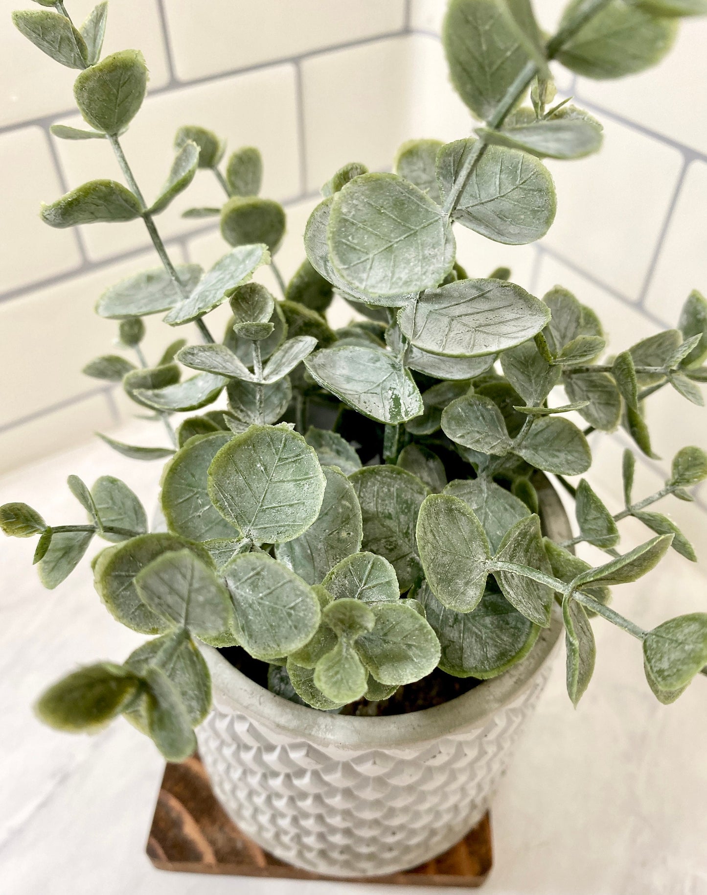 Artificial Eucalyptus Plant in Handmade Textured Concrete Pot