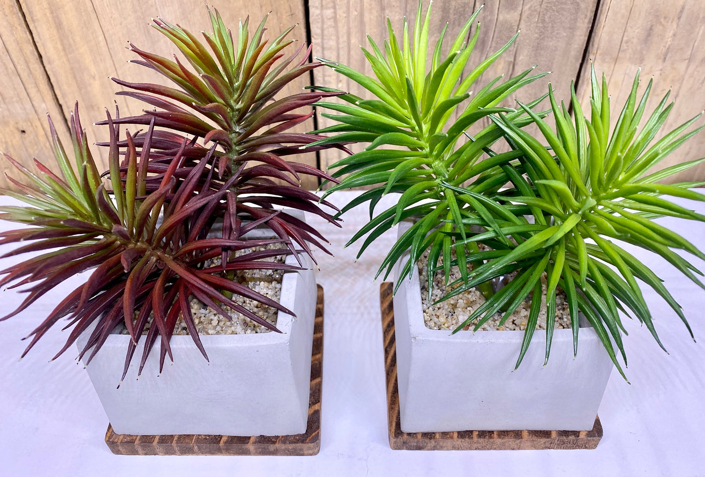 Artificial Succulent Plant in handmade Concrete Pot with Wood Tray - Burgundy Red or Green