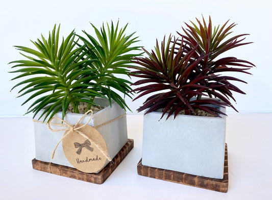 Artificial Succulent Plant in handmade Concrete Pot with Wood Tray - Burgundy Red or Green