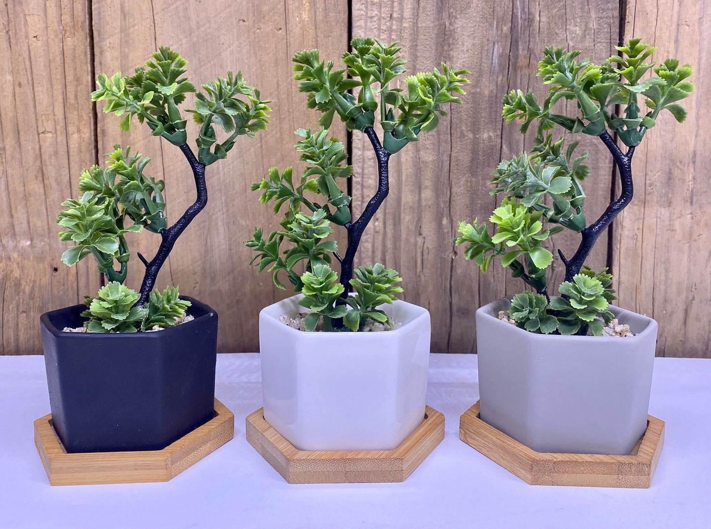 Small Artificial Bonsai Plant in Hexagon Pot with Bamboo Tray