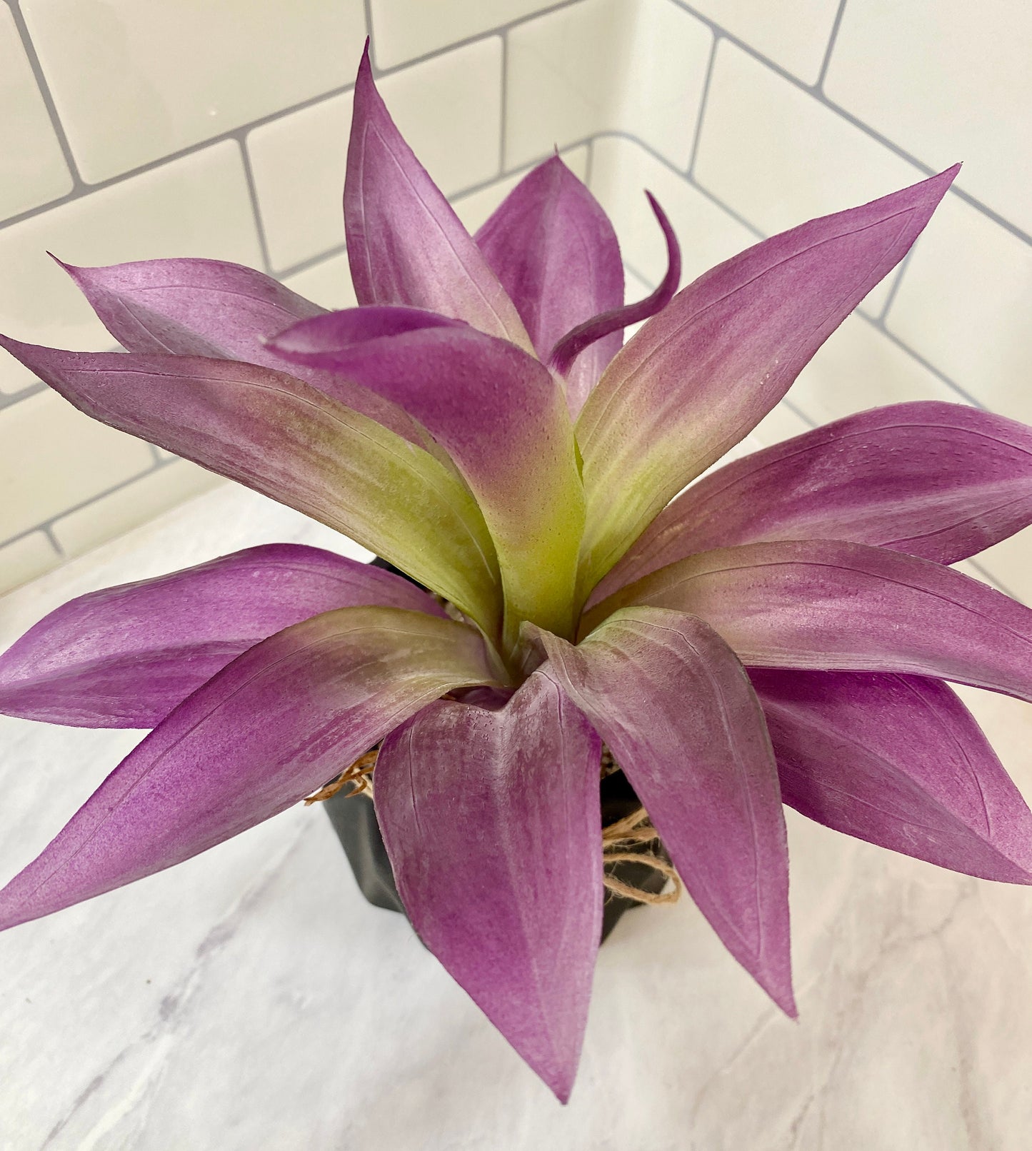 Artificial Agave Succulent Plant Purple, in Handmade Concrete Pot