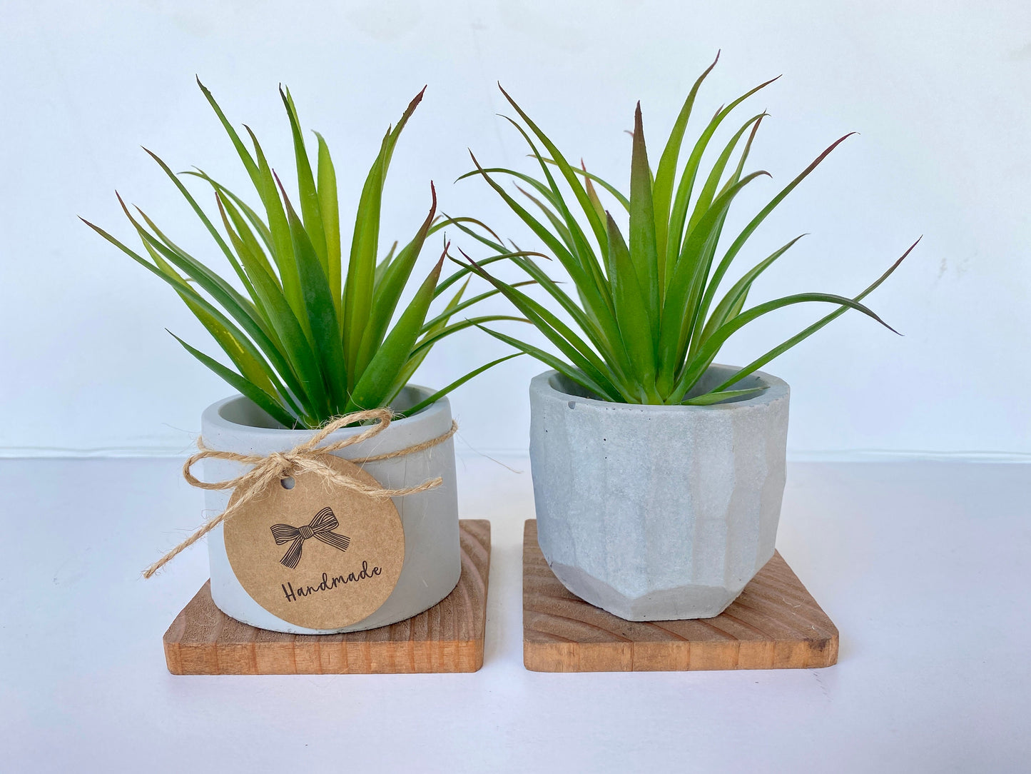 Artificial Succulent Plant in handmade Concrete Pot with Wood Tray