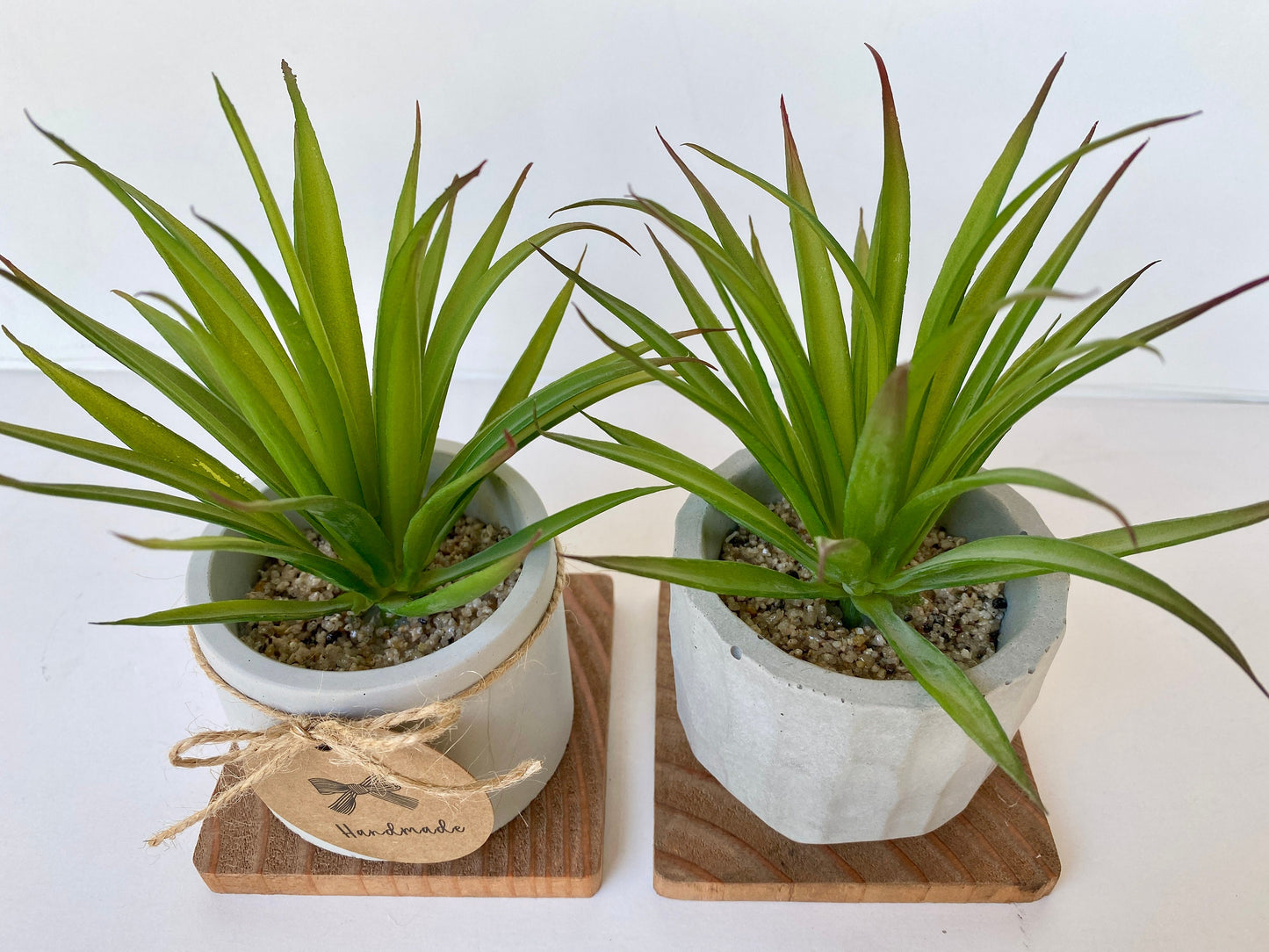 Artificial Succulent Plant in handmade Concrete Pot with Wood Tray