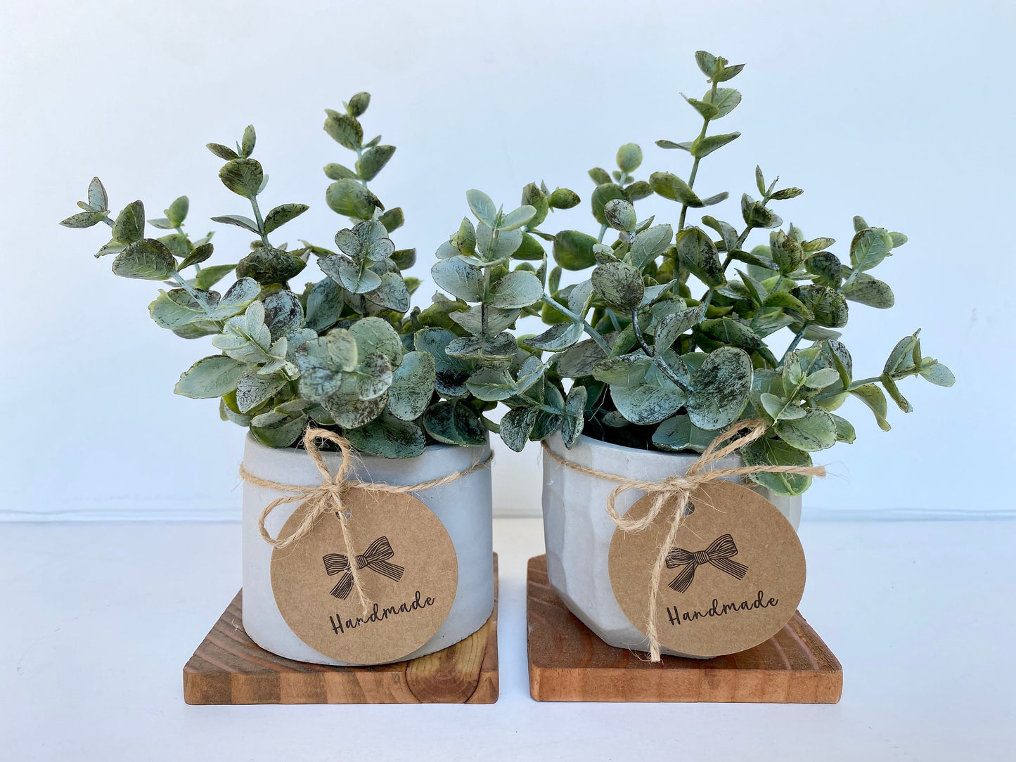 Artificial Eucalyptus Plant in handmade Concrete Pot with Wood Tray