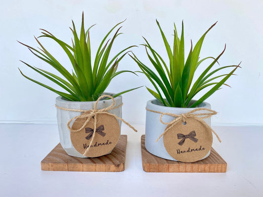 Artificial Succulent Plant in handmade Concrete Pot with Wood Tray