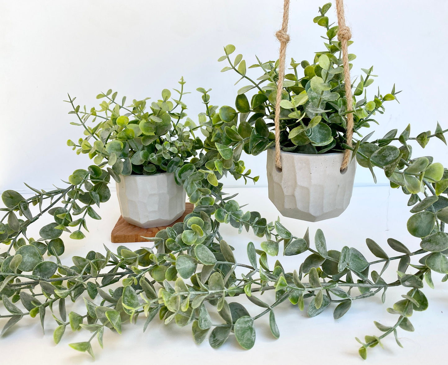 Hanging Faux Eucalyptus Plant in Handmade Concrete Pot