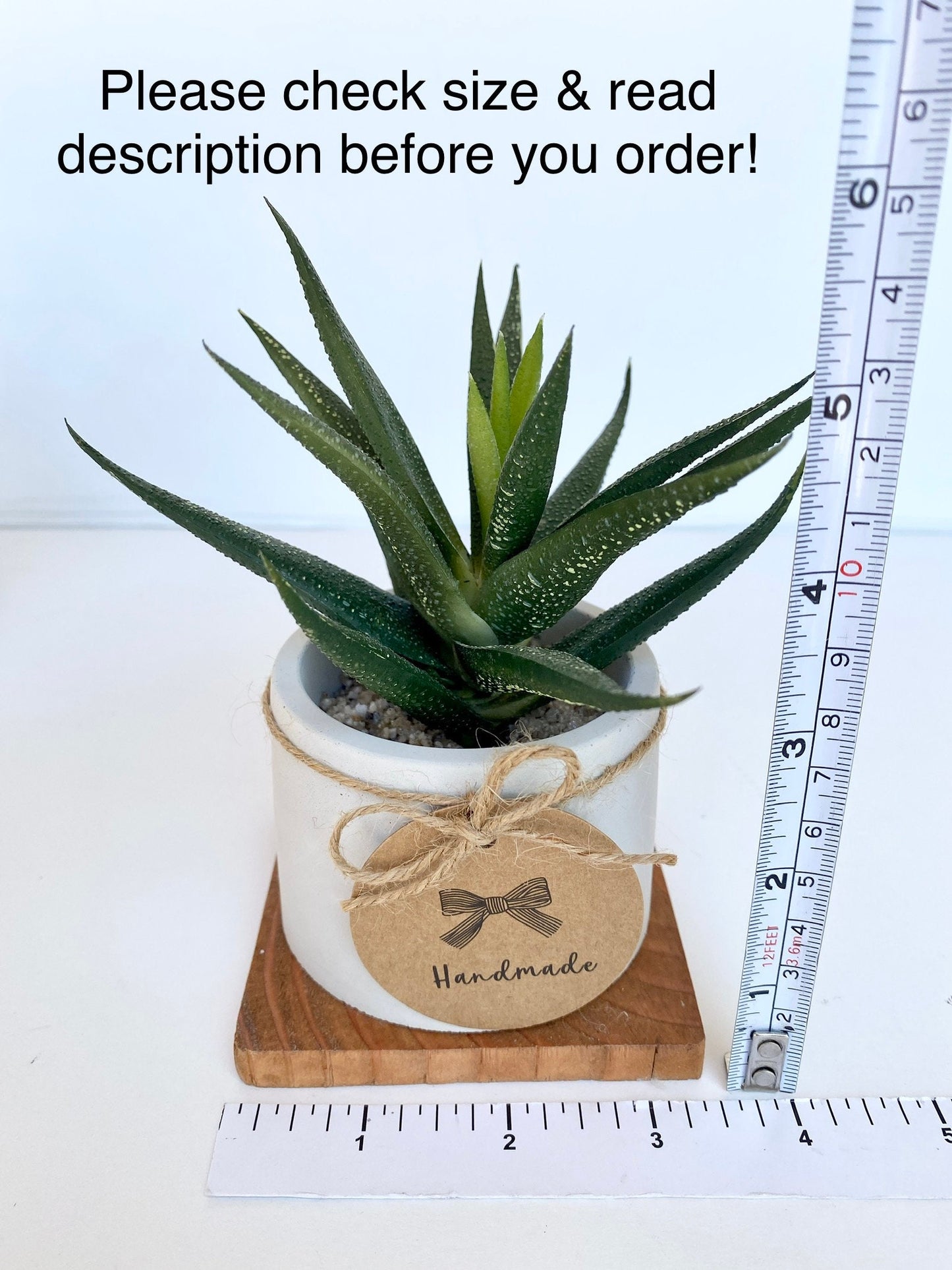 Artificial Aloe Vera Plant in handmade Concrete Pot with Wood Tray