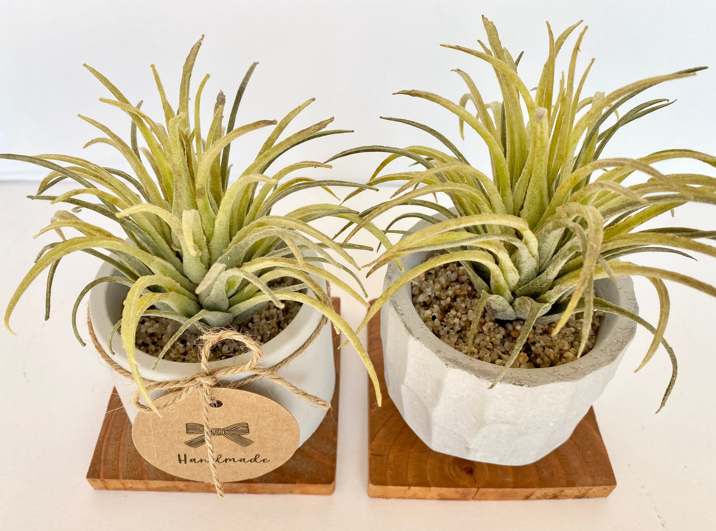 Artificial Air Plant in handmade Concrete Pot with Wood Tray