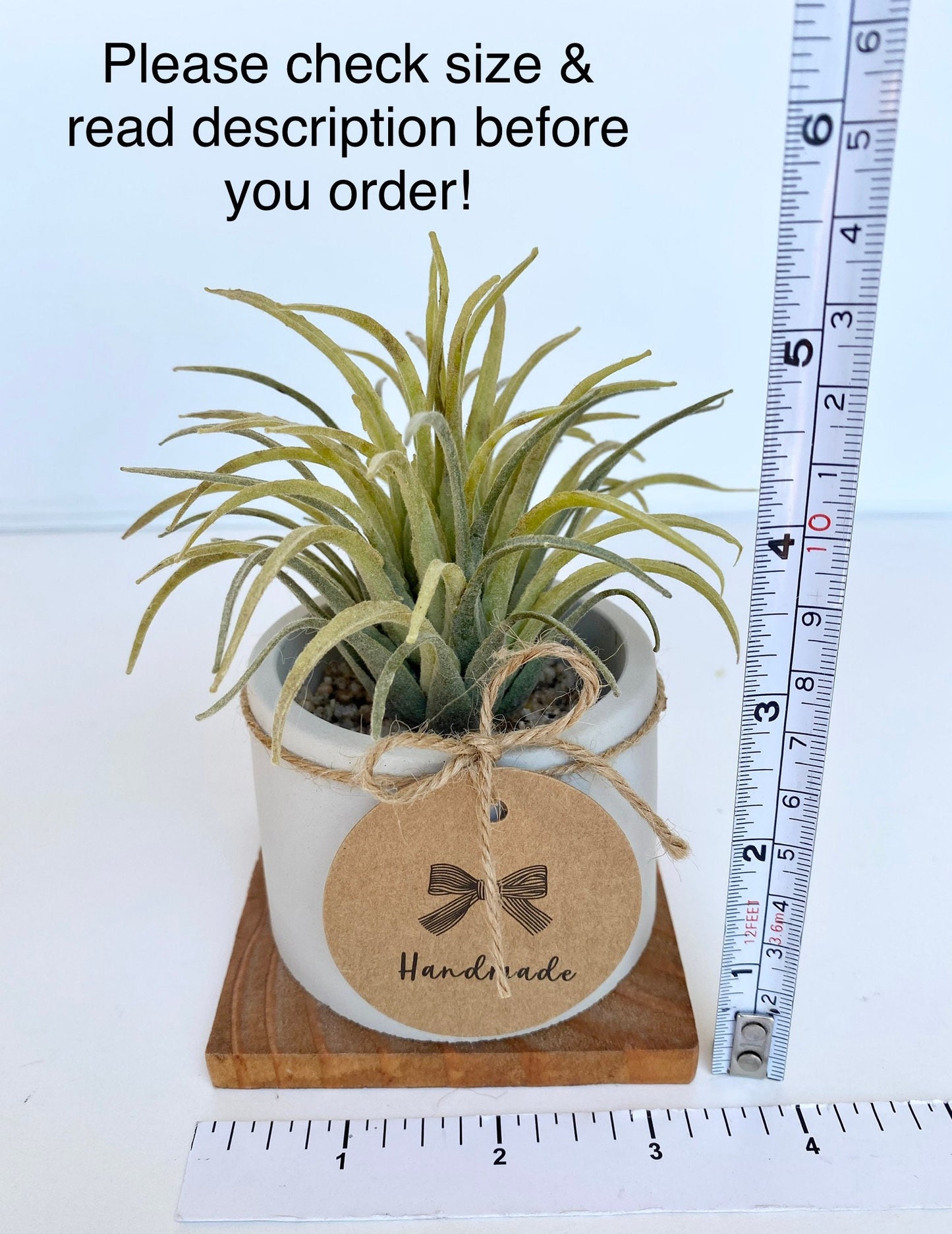 Artificial Air Plant in handmade Concrete Pot with Wood Tray