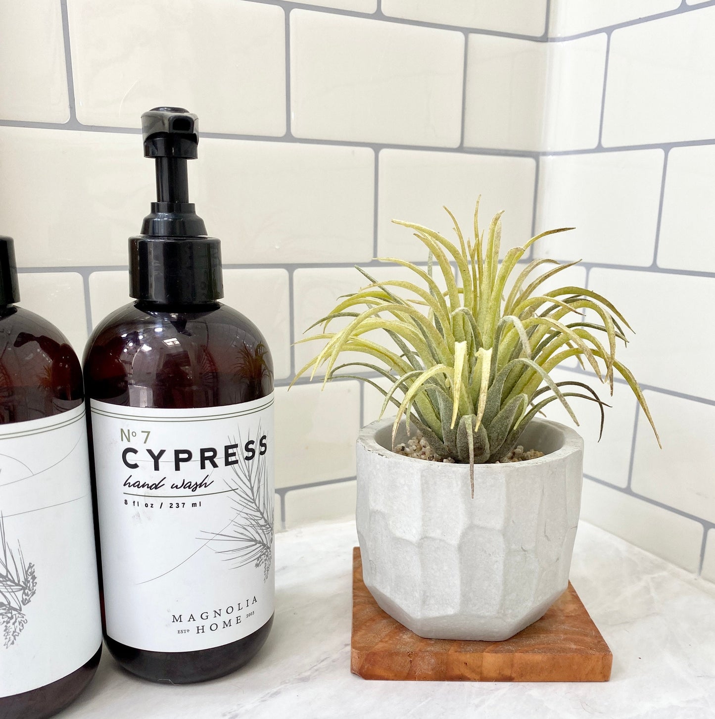 Artificial Air Plant in handmade Concrete Pot with Wood Tray