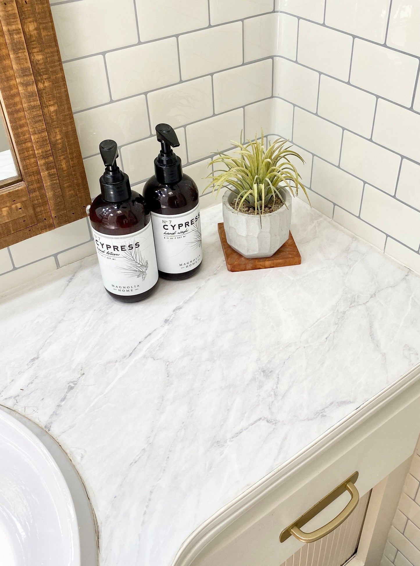 Artificial Air Plant in handmade Concrete Pot with Wood Tray