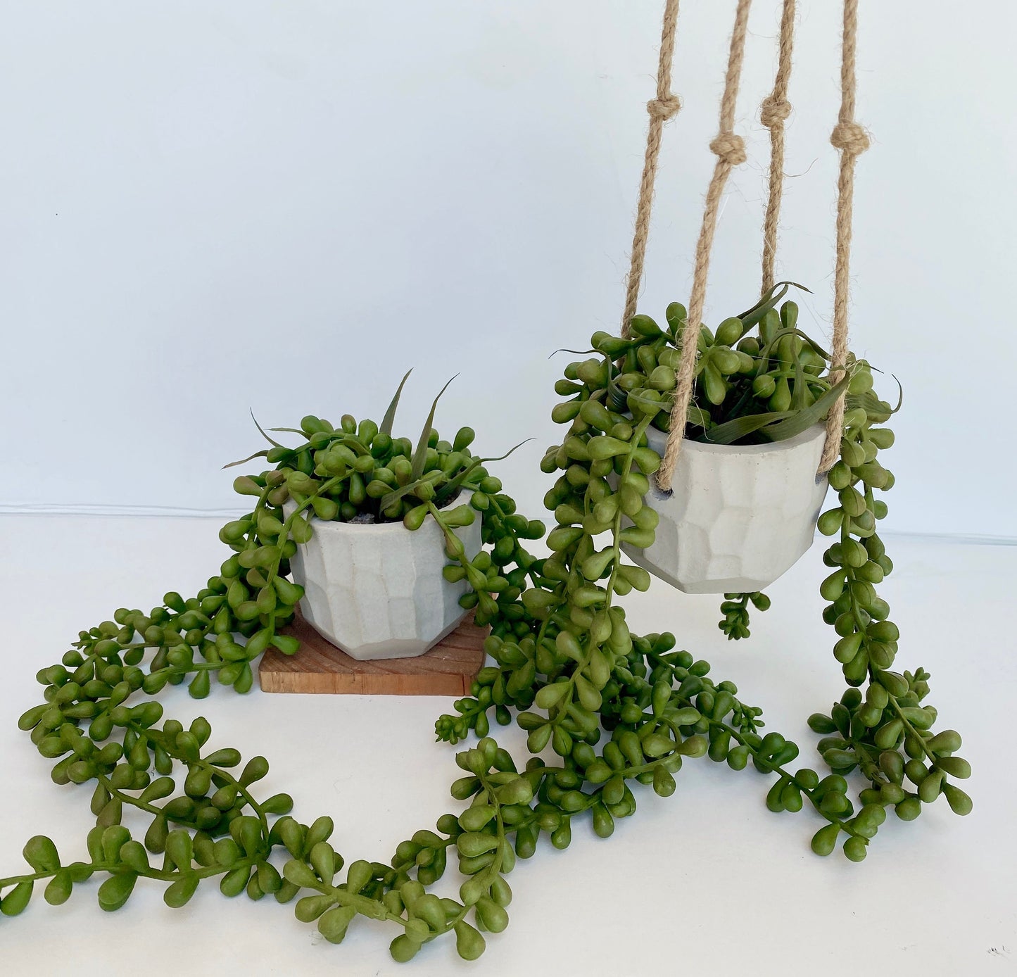 Hanging Faux Burro's Tail in Handmade Concrete Pot