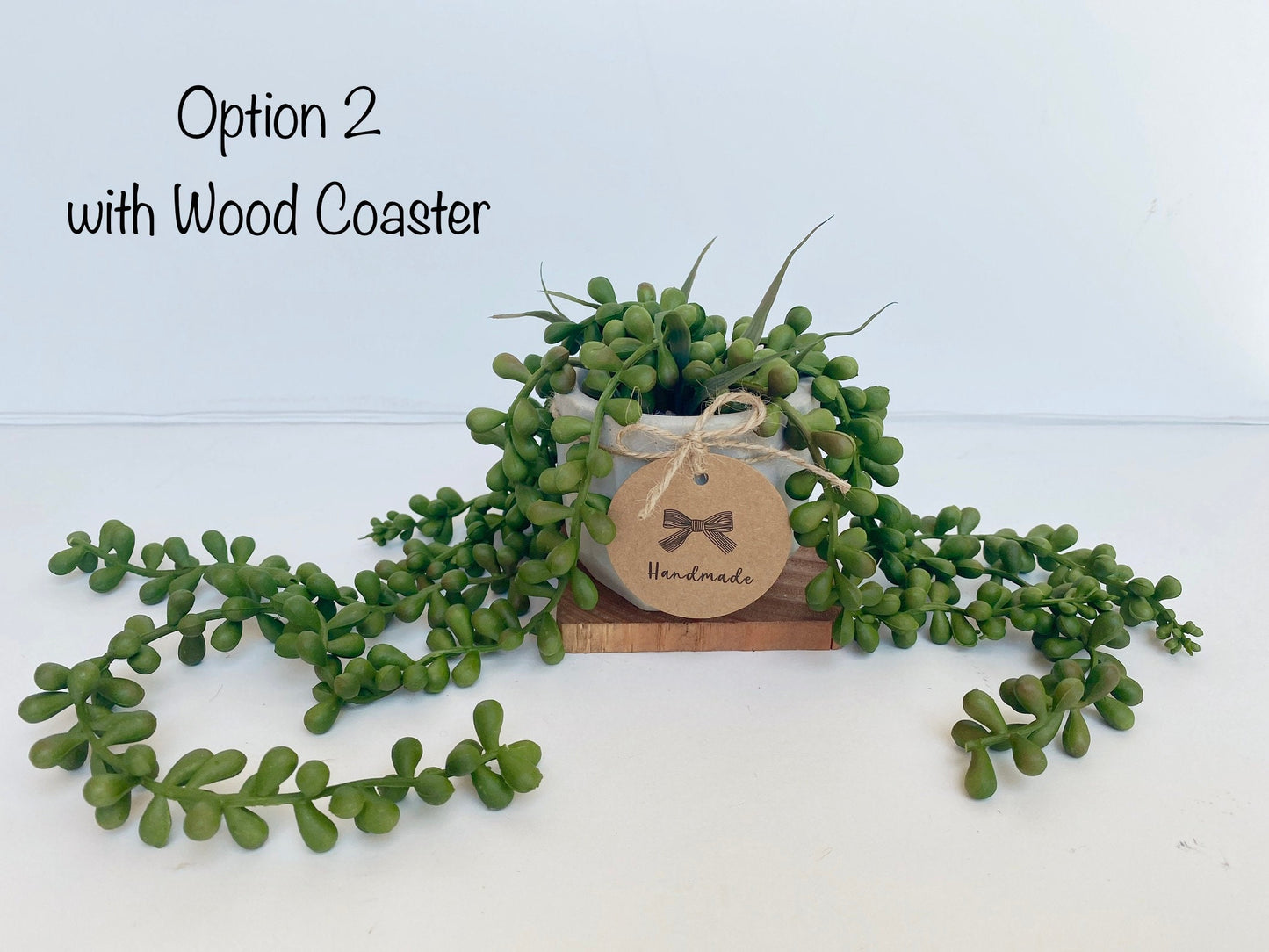 Hanging Faux Burro's Tail in Handmade Concrete Pot