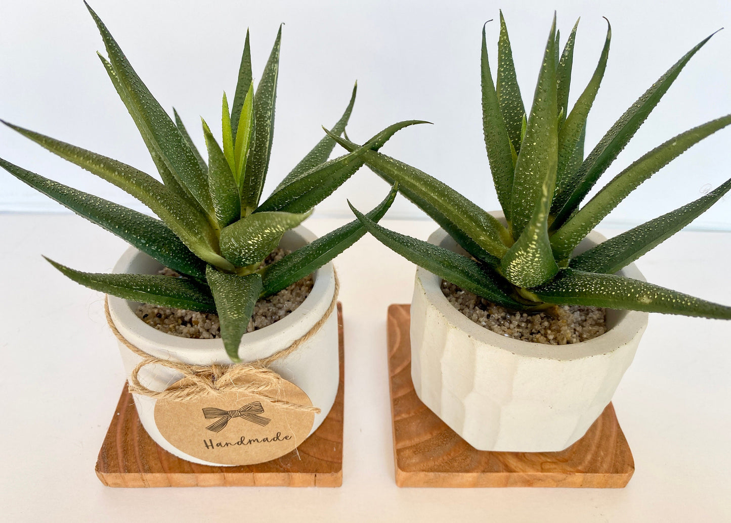 Artificial Aloe Vera Plant in handmade Concrete Pot with Wood Tray