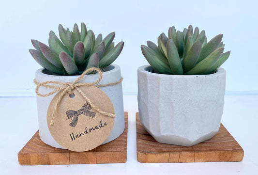 Artificial Succulent Ice Plant in handmade Concrete Pot with Wood Tray