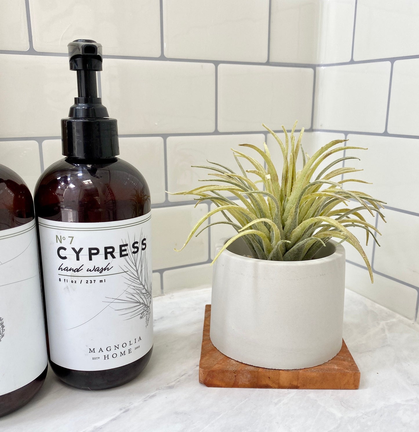 Artificial Air Plant in handmade Concrete Pot with Wood Tray