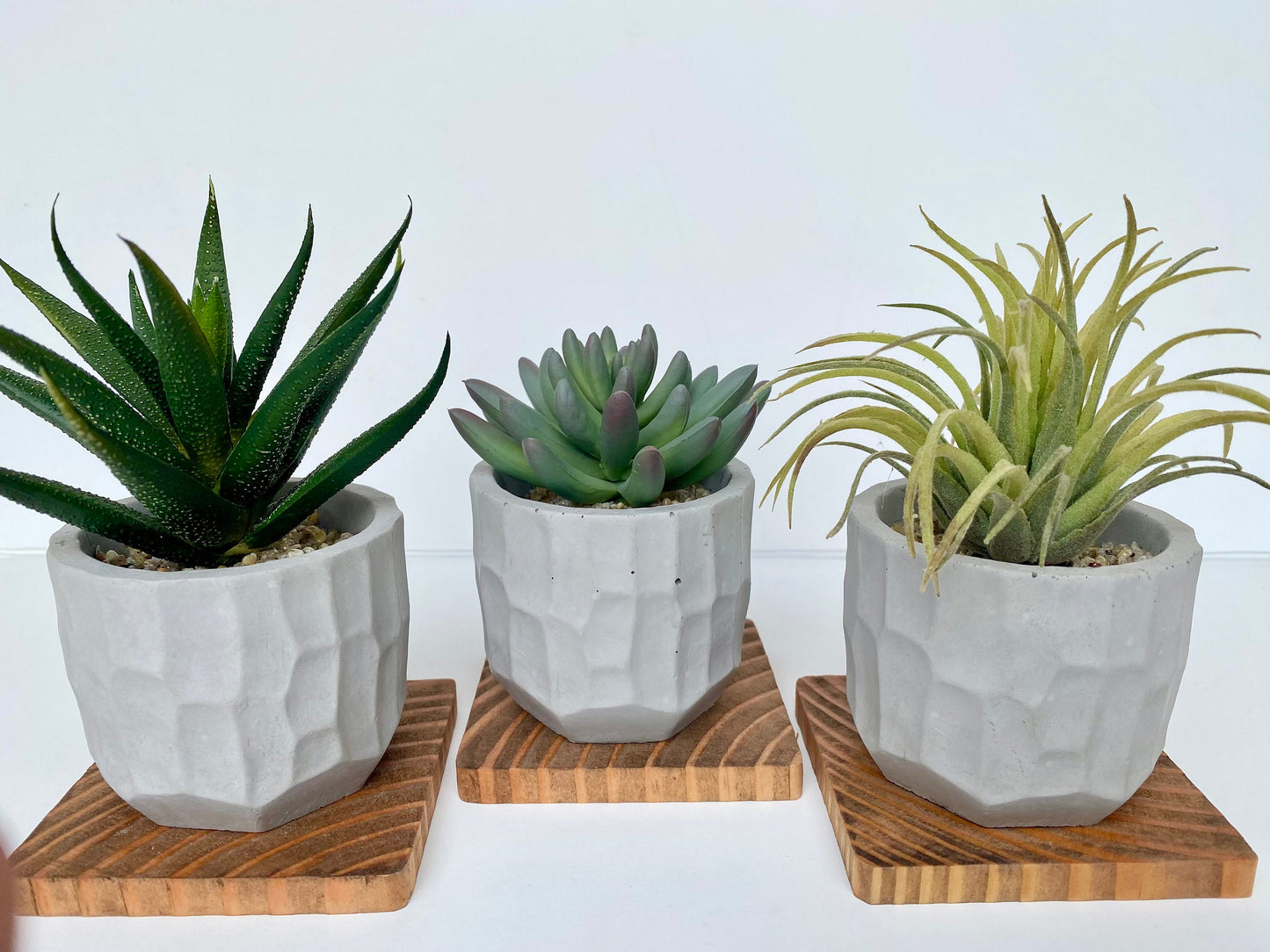 Artificial Air Plant in handmade Concrete Pot with Wood Tray