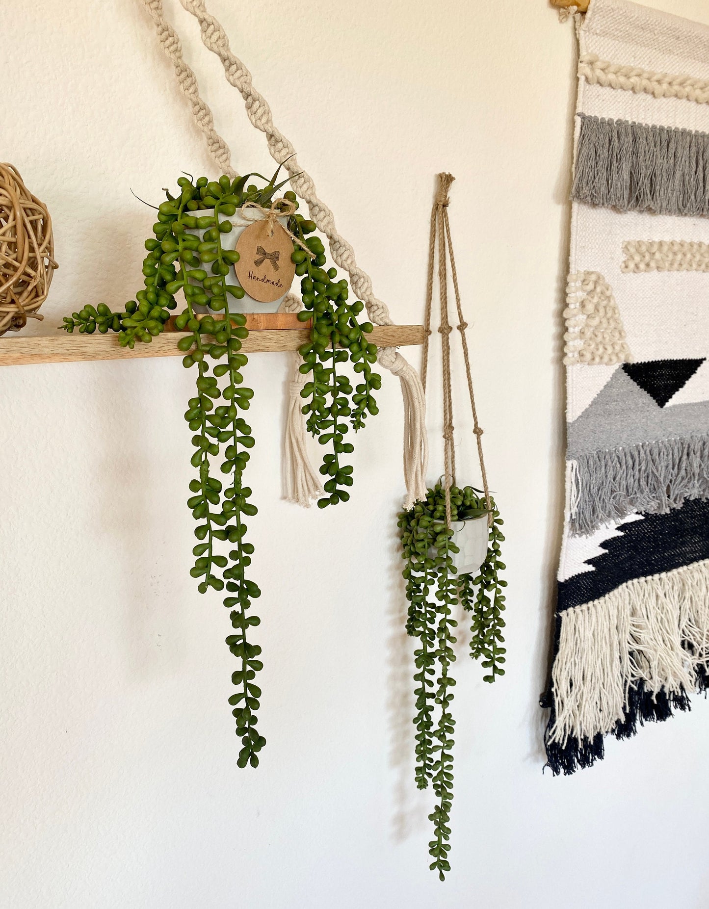 Hanging Faux Burro's Tail in Handmade Concrete Pot