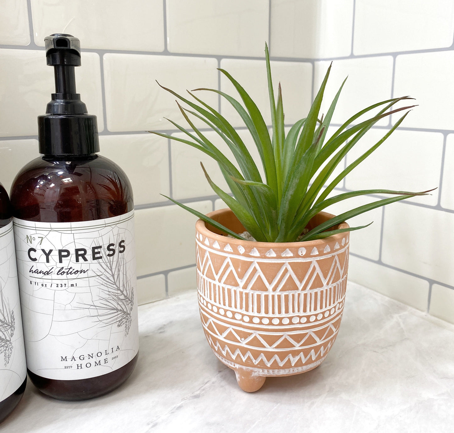 Artificial Succulent Plant in textured Ceramic Pot