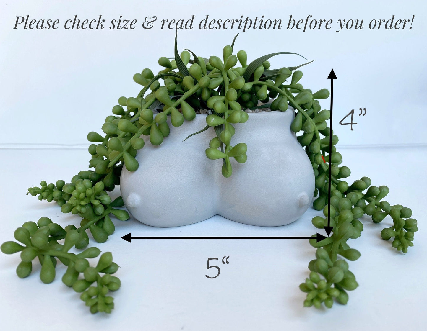Cement Butt or Boob Pot with Faux Burro's Tail Succulent Hanging Plant
