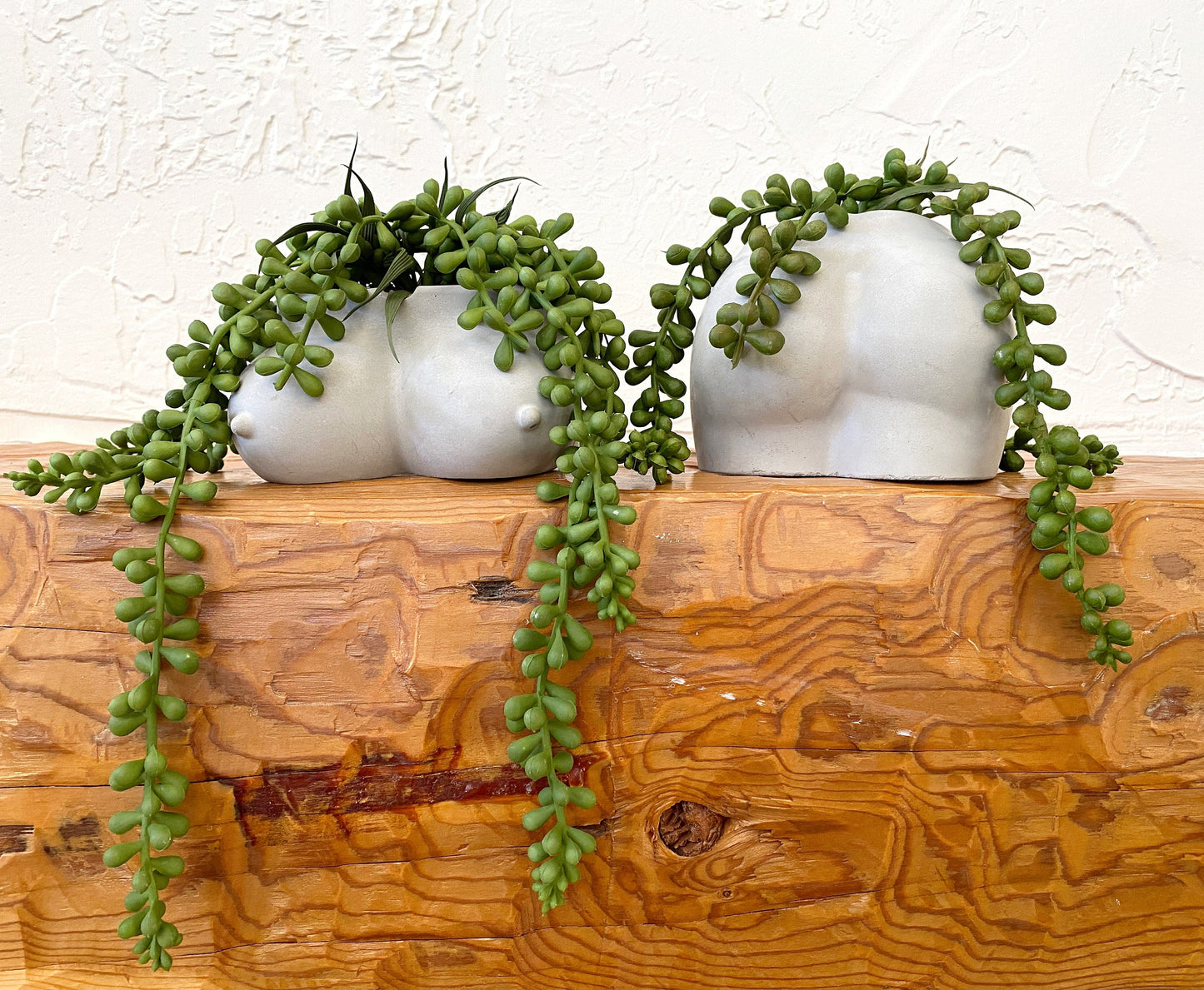 Cement Butt or Boob Pot with Faux Burro's Tail Succulent Hanging Plant