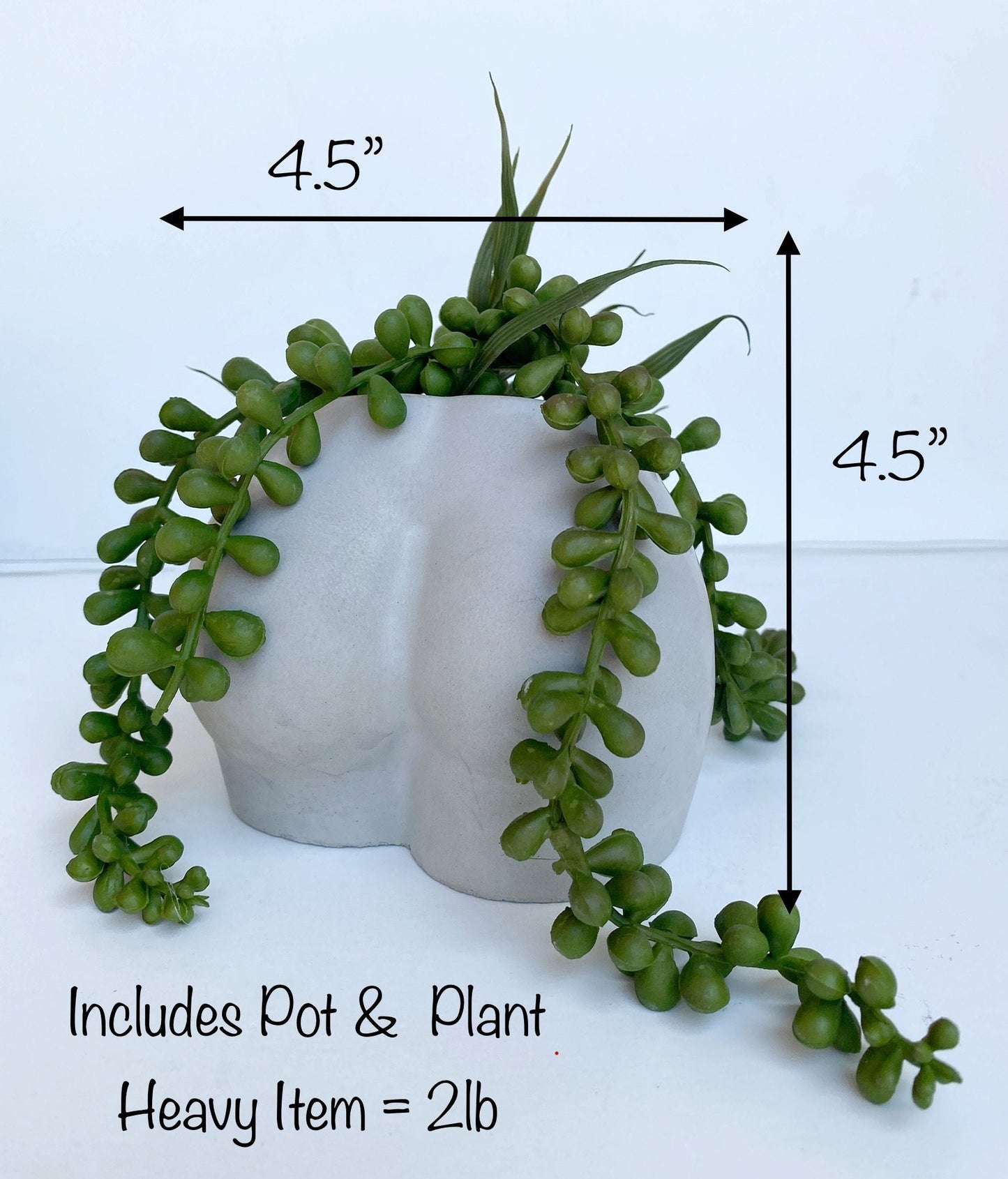 Cement Butt or Boob Pot with Faux Burro's Tail Succulent Hanging Plant